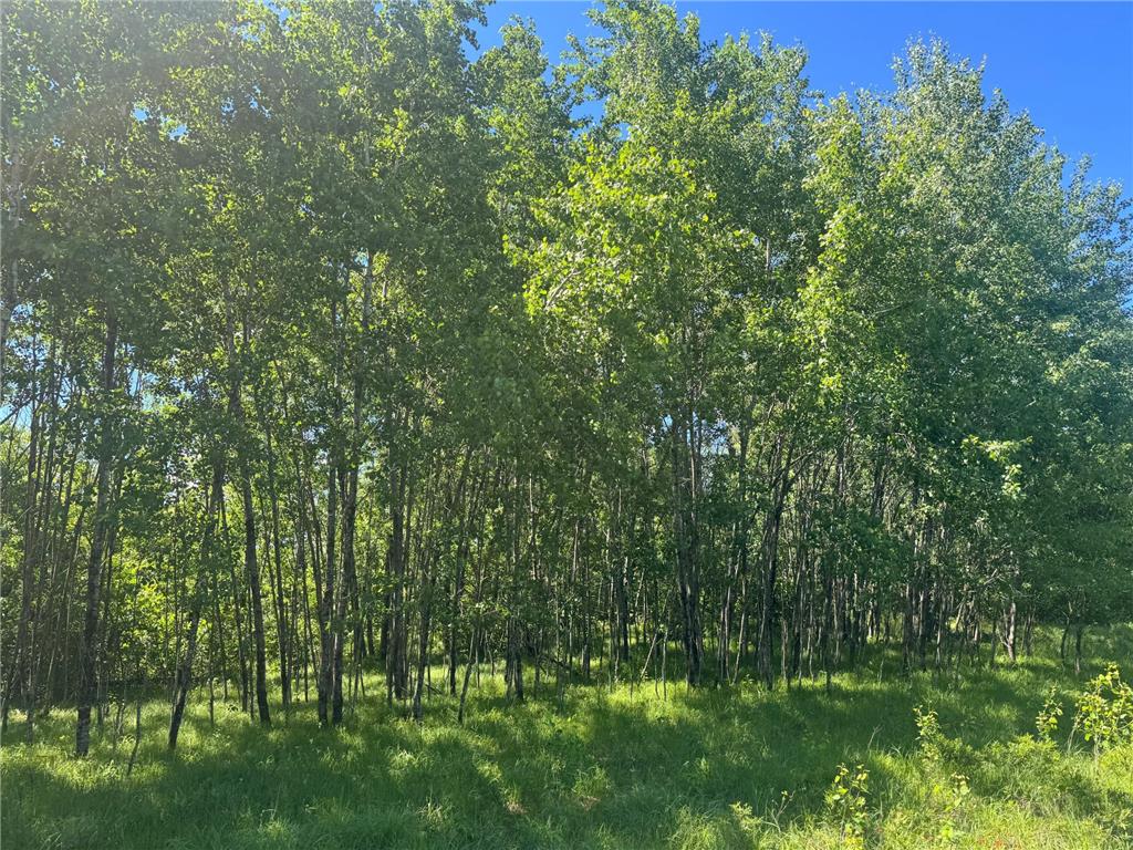15043 S Thorn Lake Loop Gordon WI 54838 - Thorn 7095785 image9