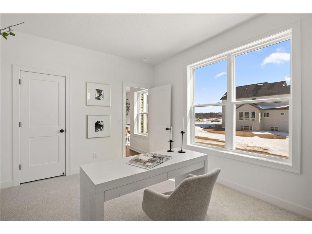 15044 Ardmullivan Lane Rosemount MN 55068 7035263 image14