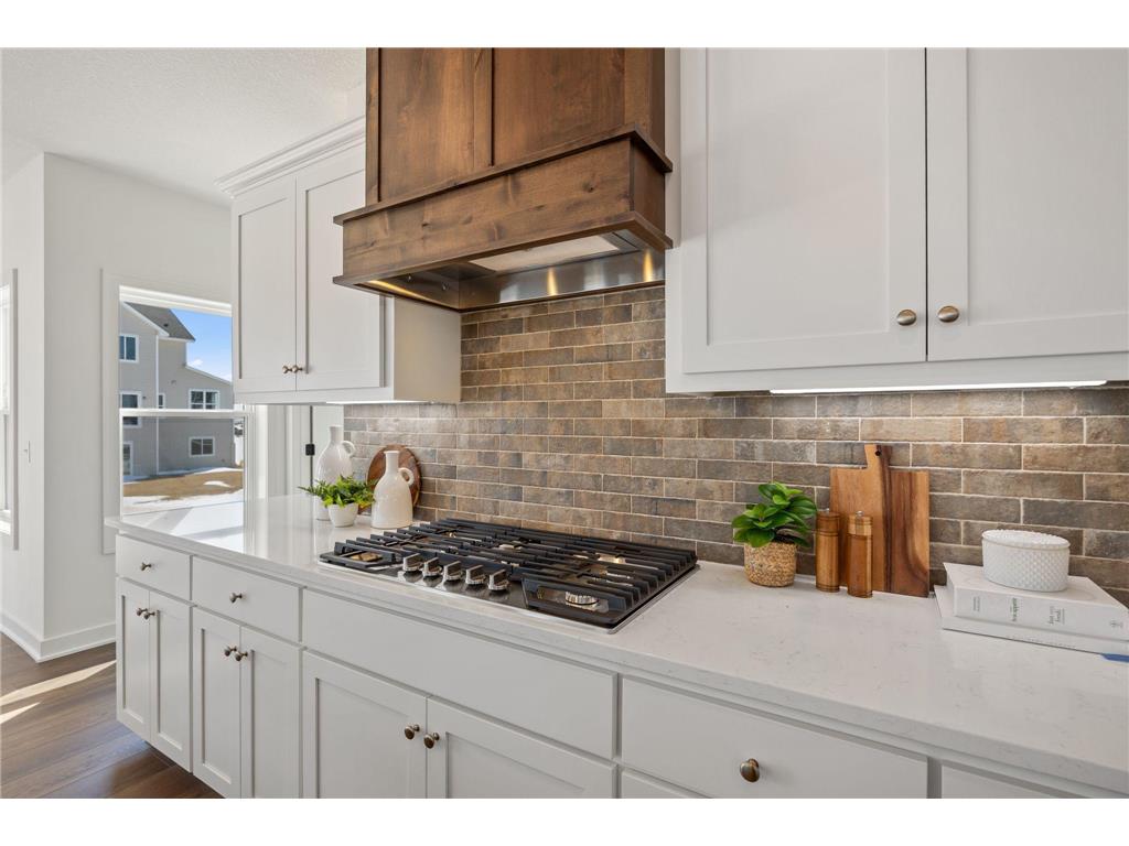 15044 Ardmullivan Lane Rosemount MN 55068 7035263 image6