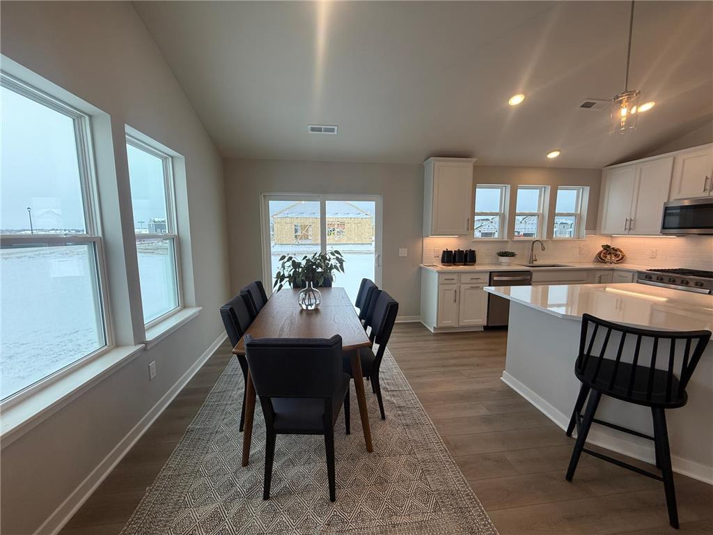 15049 Ashtown Lane Rosemount MN 55068 6825350 image4