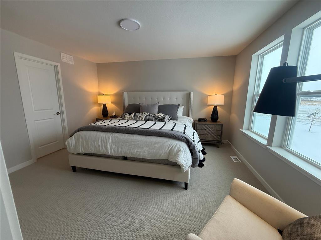 15049 Ashtown Lane Rosemount MN 55068 6825350 image9