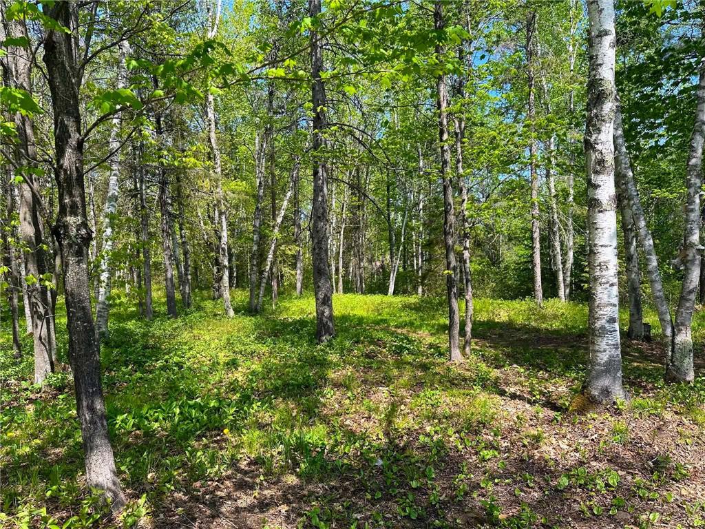 1505 Moorhead Road Cloquet MN 55720 7073493 image22