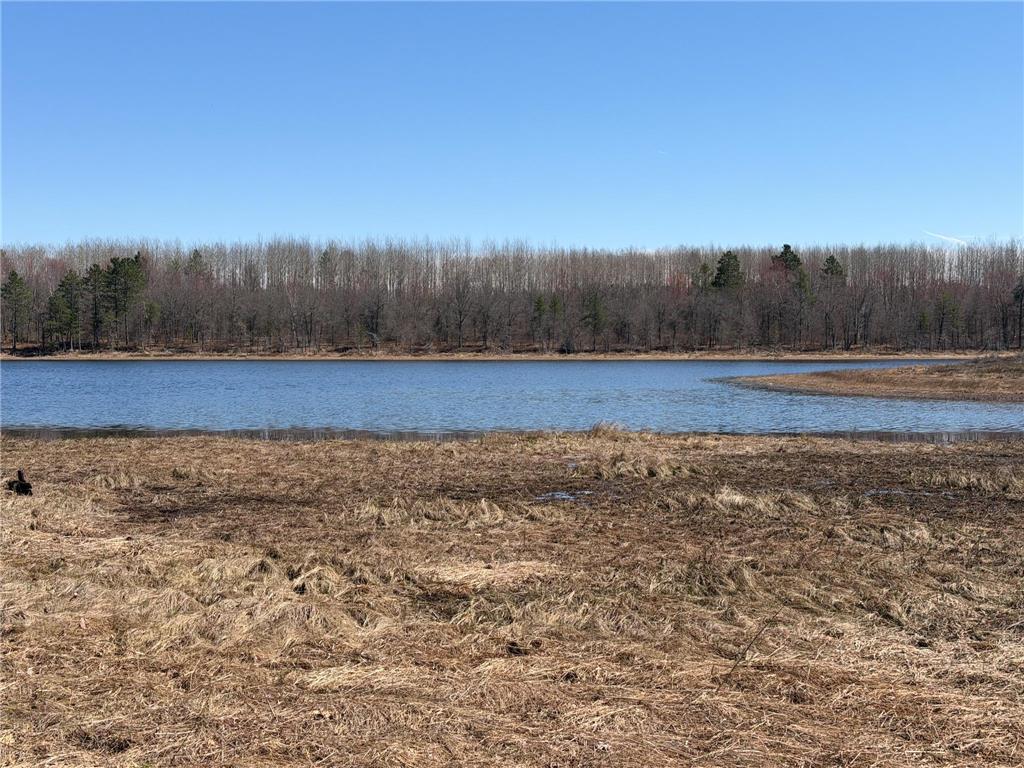 15051 S Thorn Lake Loop Wascott WI 54838 - Thorn 7063572 image10