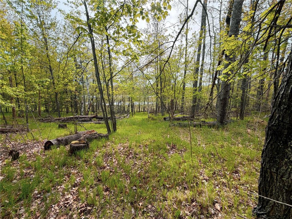 15051 S Thorn Lake Loop Wascott WI 54838 - Thorn 7063572 image30