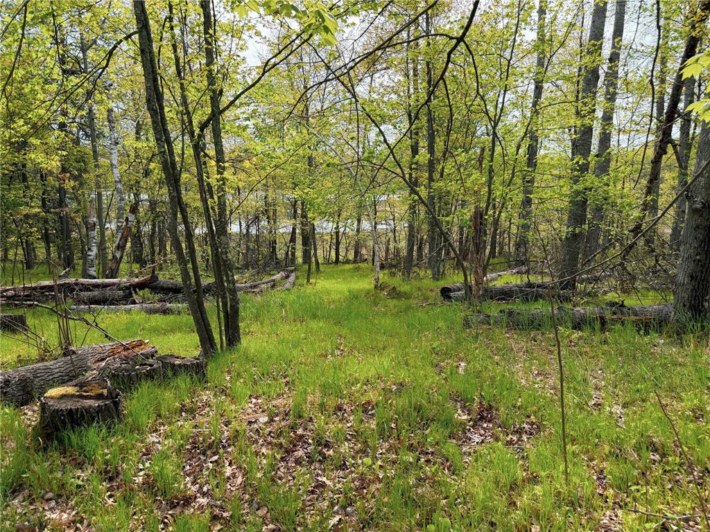 15051 S Thorn Lake Loop Wascott WI 54838 - Thorn 7063572 image6