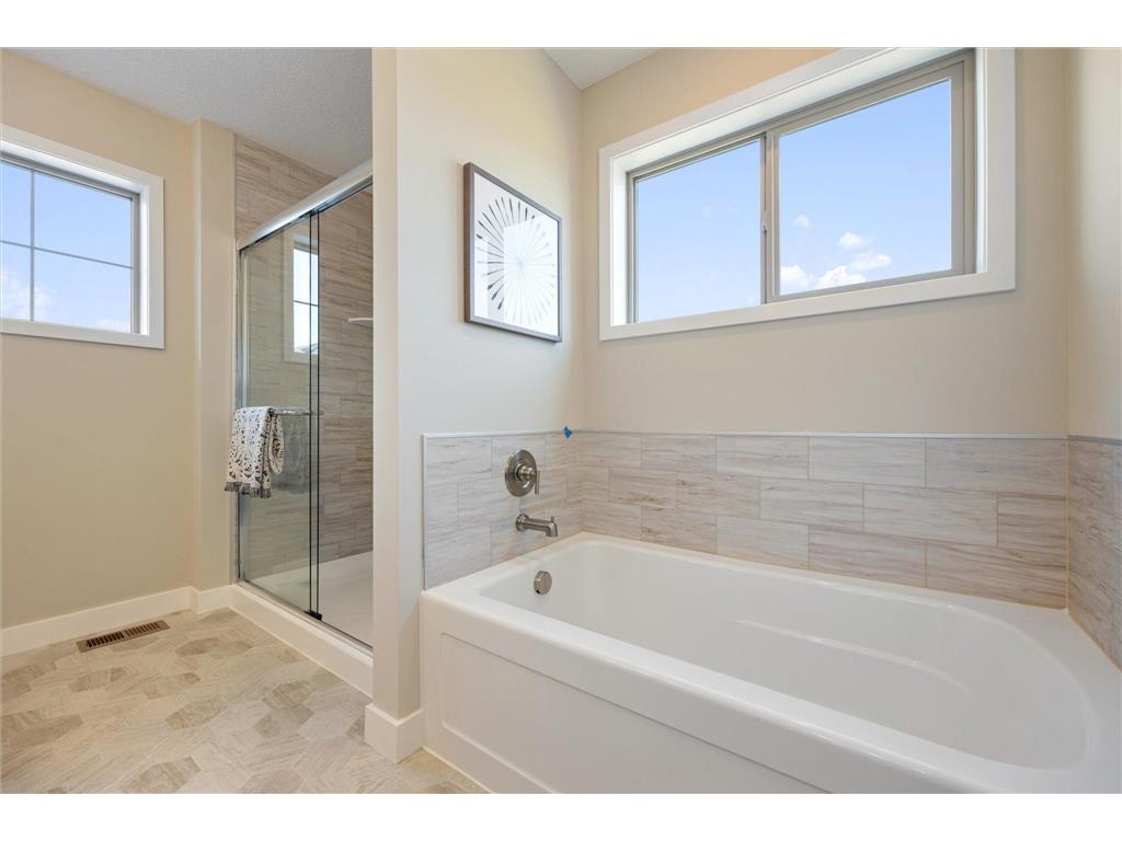 15053 Ardmullivan Lane Rosemount MN 55068 6811102 image42