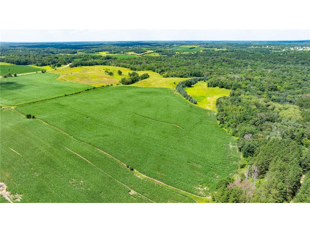 15055 Paul Avenue N May Twp MN 55047 6746351 image10