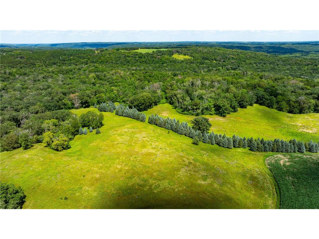 15055 Paul Avenue N May Twp MN 55047 6746351 image100