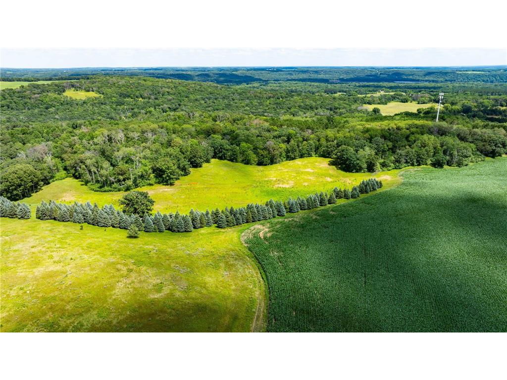 15055 Paul Avenue N May Twp MN 55047 6746351 image101