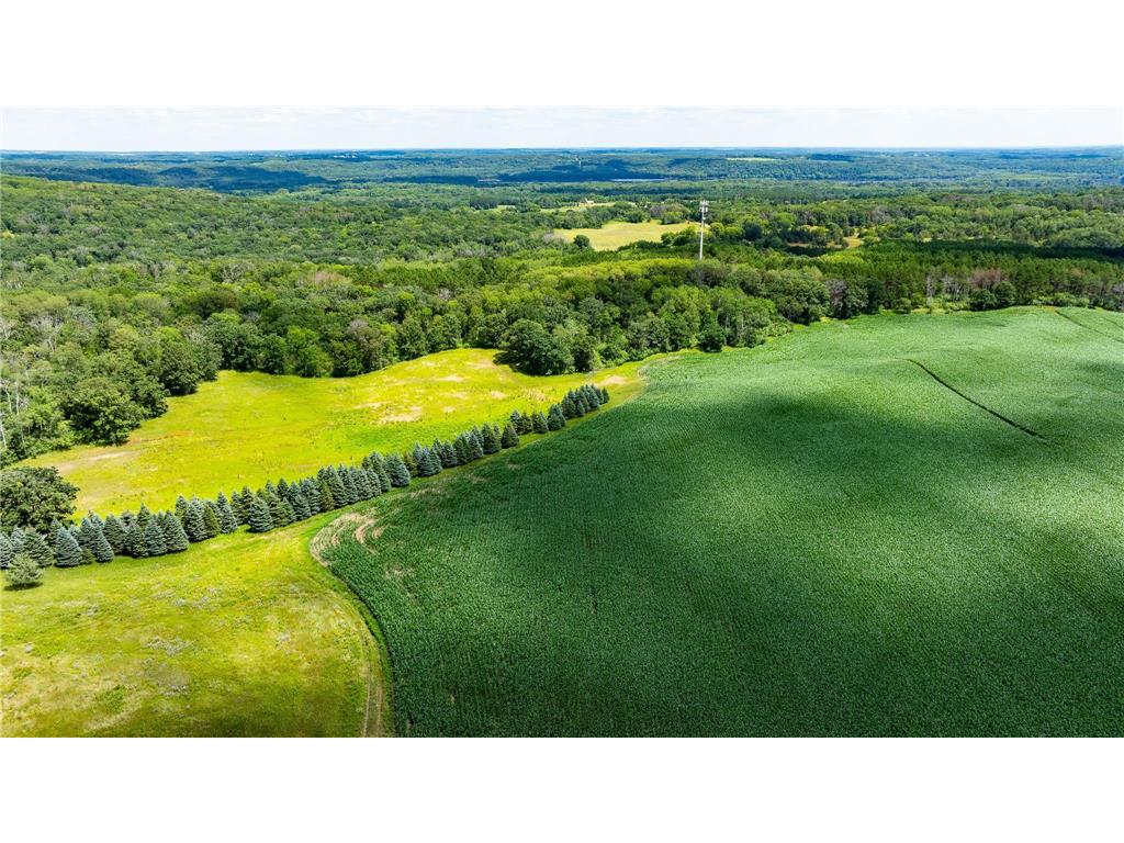 15055 Paul Avenue N May Twp MN 55047 6746351 image102