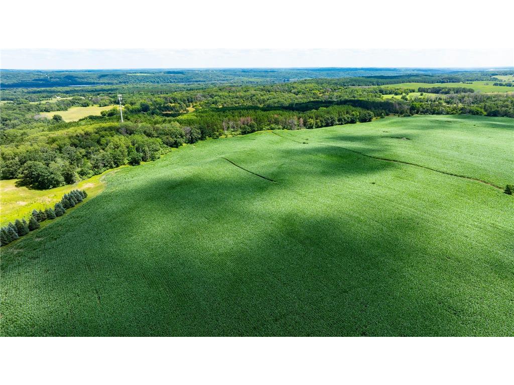 15055 Paul Avenue N May Twp MN 55047 6746351 image103