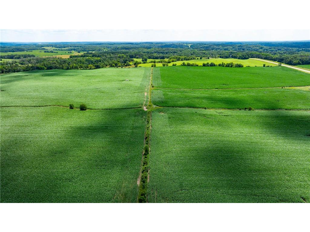 15055 Paul Avenue N May Twp MN 55047 6746351 image104