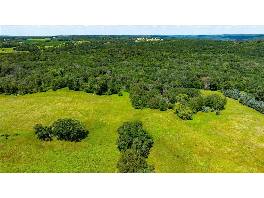 15055 Paul Avenue N May Twp MN 55047 6746351 image110