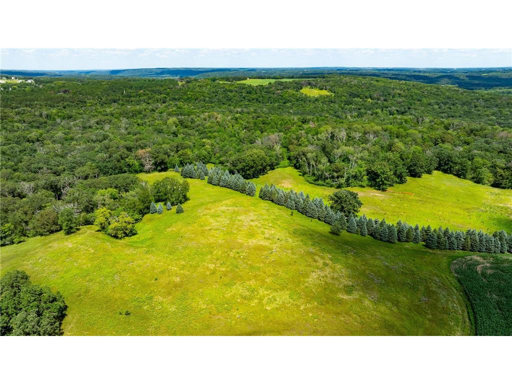 15055 Paul Avenue N May Twp MN 55047 6746351 image111