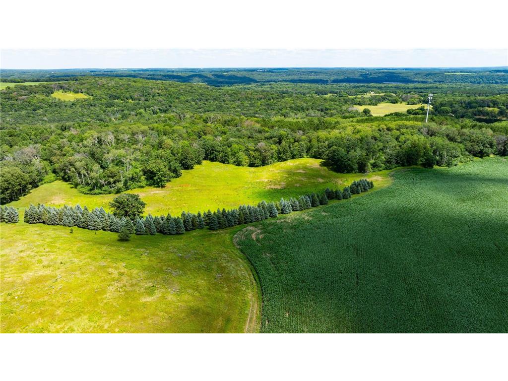 15055 Paul Avenue N May Twp MN 55047 6746351 image112