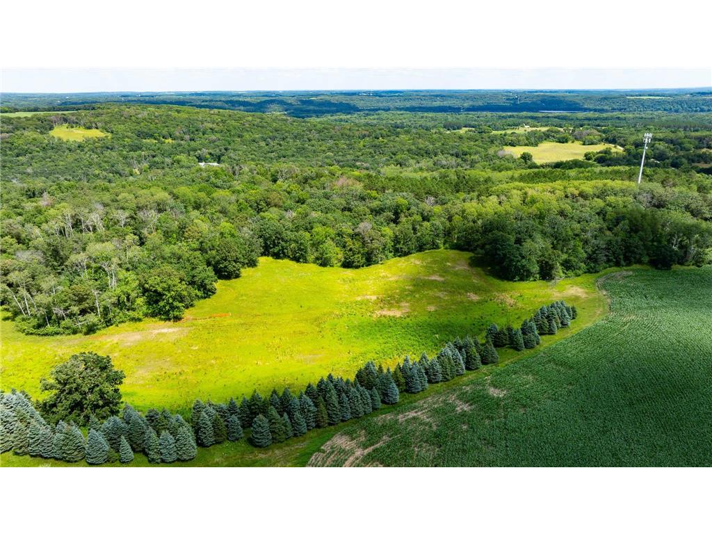 15055 Paul Avenue N May Twp MN 55047 6746351 image113