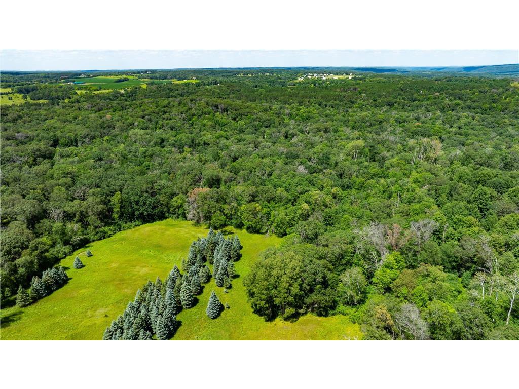 15055 Paul Avenue N May Twp MN 55047 6746351 image115