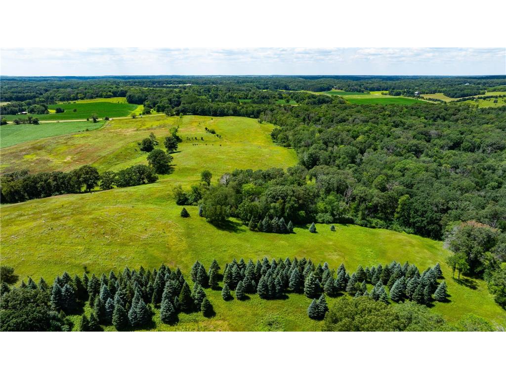 15055 Paul Avenue N May Twp MN 55047 6746351 image116