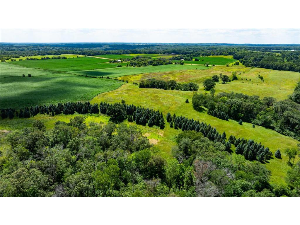 15055 Paul Avenue N May Twp MN 55047 6746351 image118