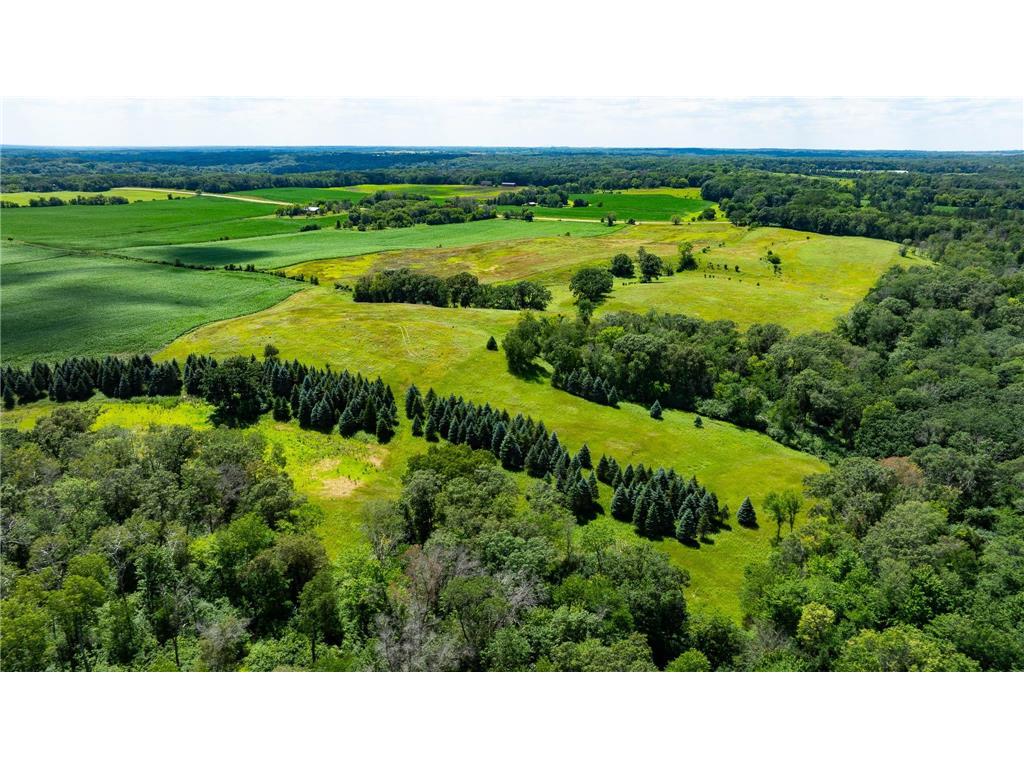 15055 Paul Avenue N May Twp MN 55047 6746351 image119