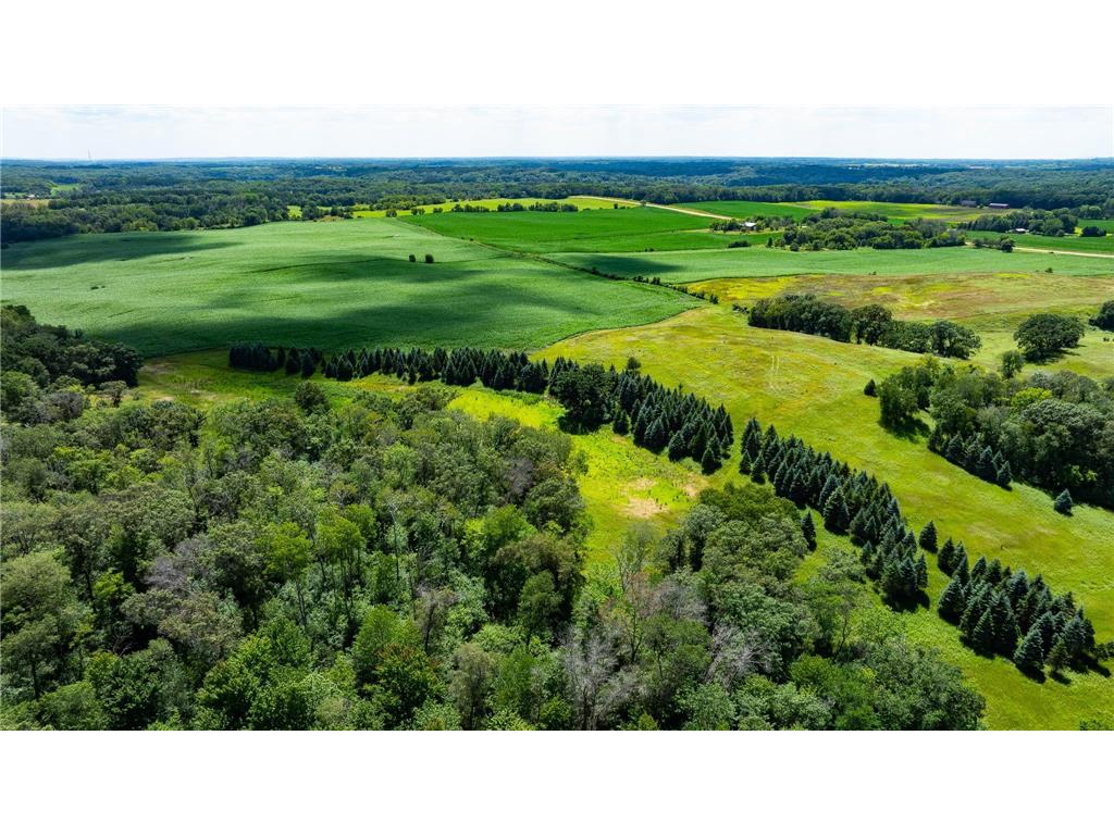 15055 Paul Avenue N May Twp MN 55047 6746351 image120