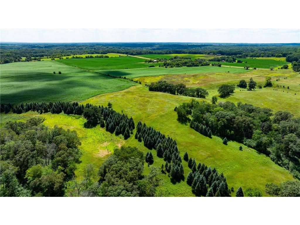 15055 Paul Avenue N May Twp MN 55047 6746351 image121