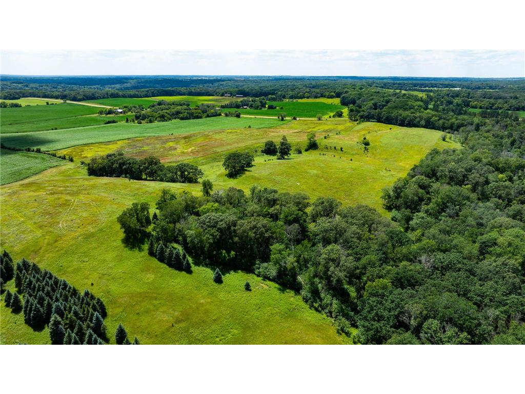 15055 Paul Avenue N May Twp MN 55047 6746351 image122