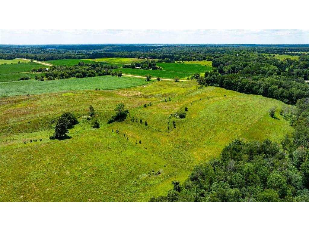 15055 Paul Avenue N May Twp MN 55047 6746351 image125