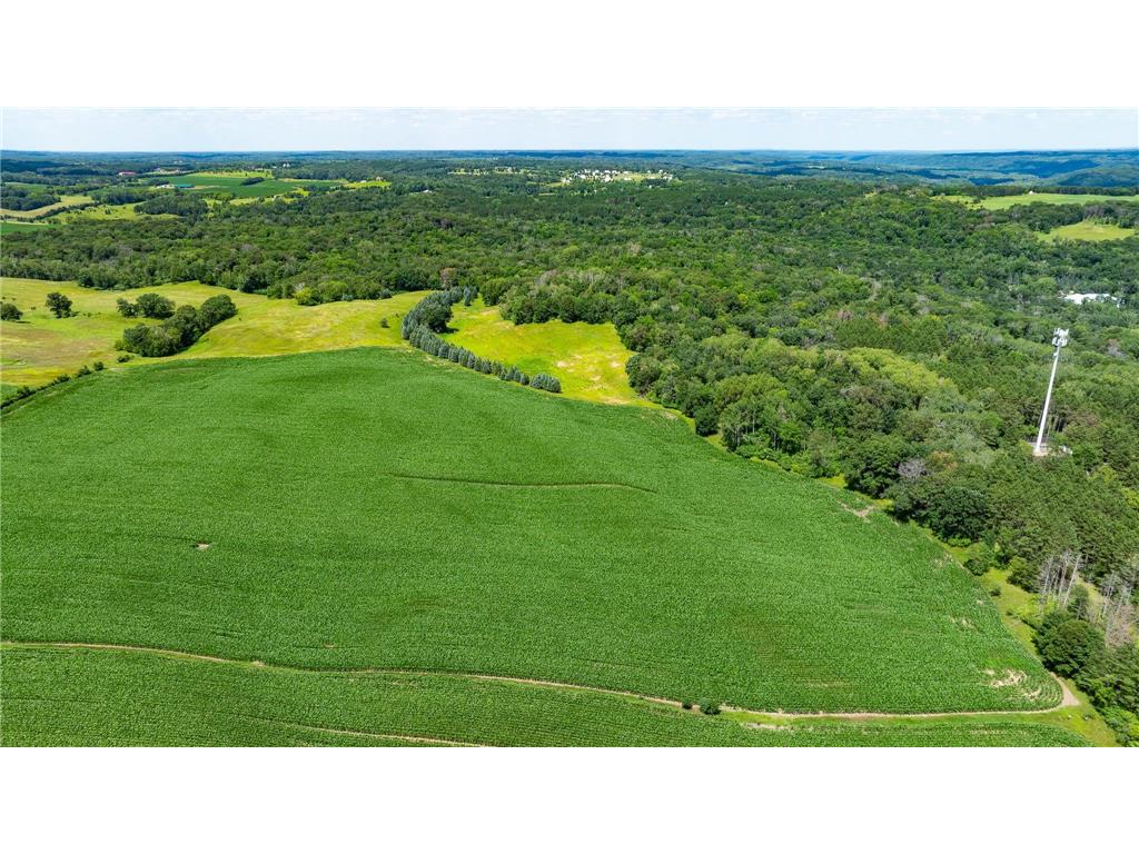 15055 Paul Avenue N May Twp MN 55047 6746351 image13