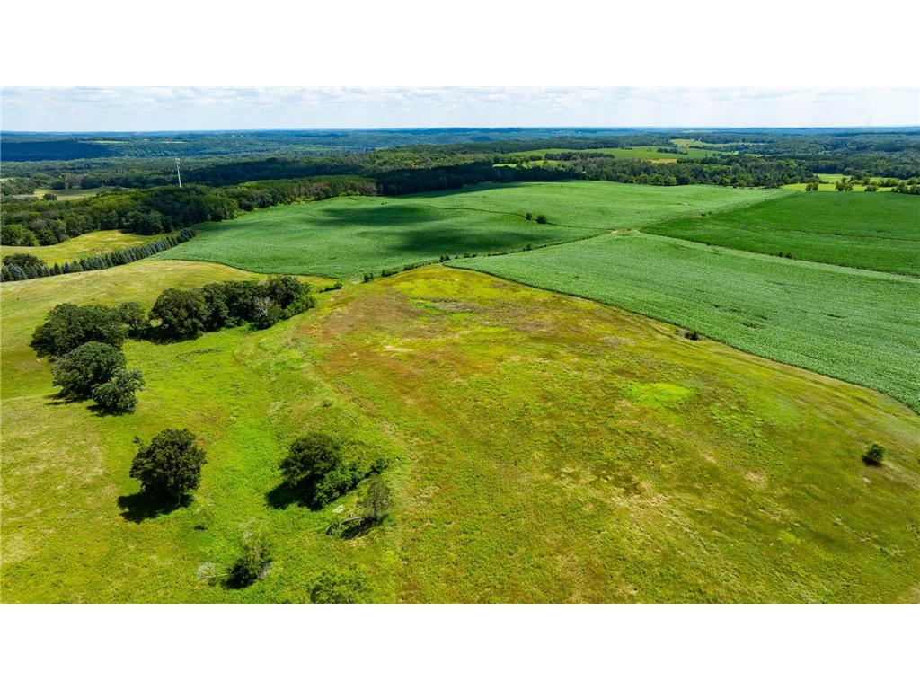 15055 Paul Avenue N May Twp MN 55047 6746351 image130