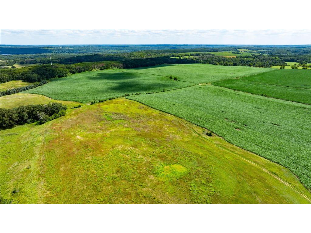 15055 Paul Avenue N May Twp MN 55047 6746351 image131