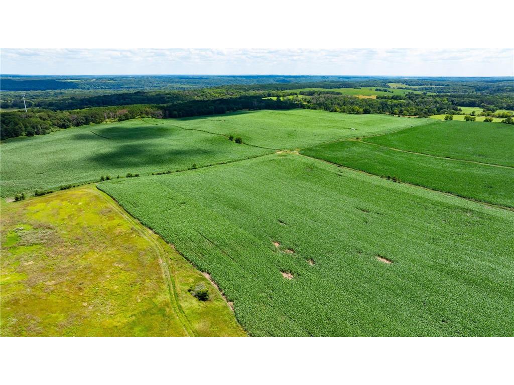 15055 Paul Avenue N May Twp MN 55047 6746351 image132