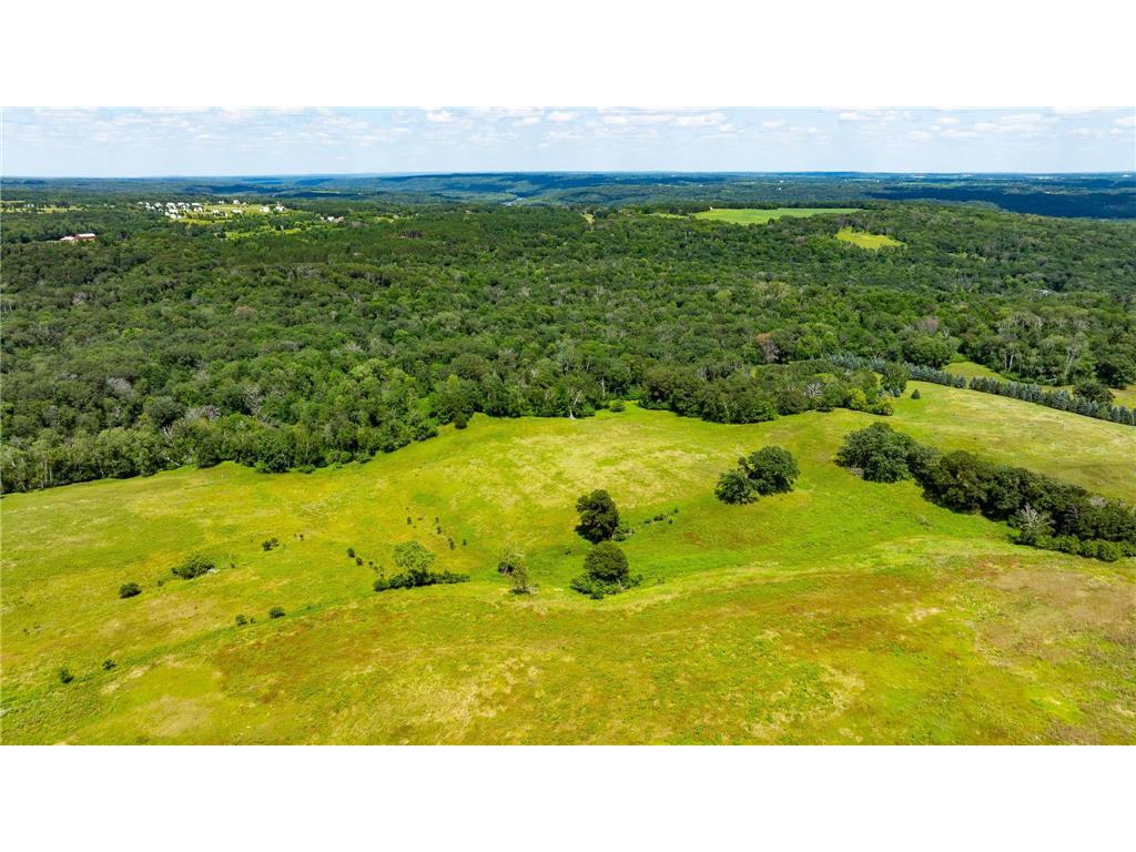 15055 Paul Avenue N May Twp MN 55047 6746351 image135