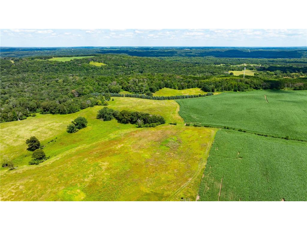 15055 Paul Avenue N May Twp MN 55047 6746351 image136