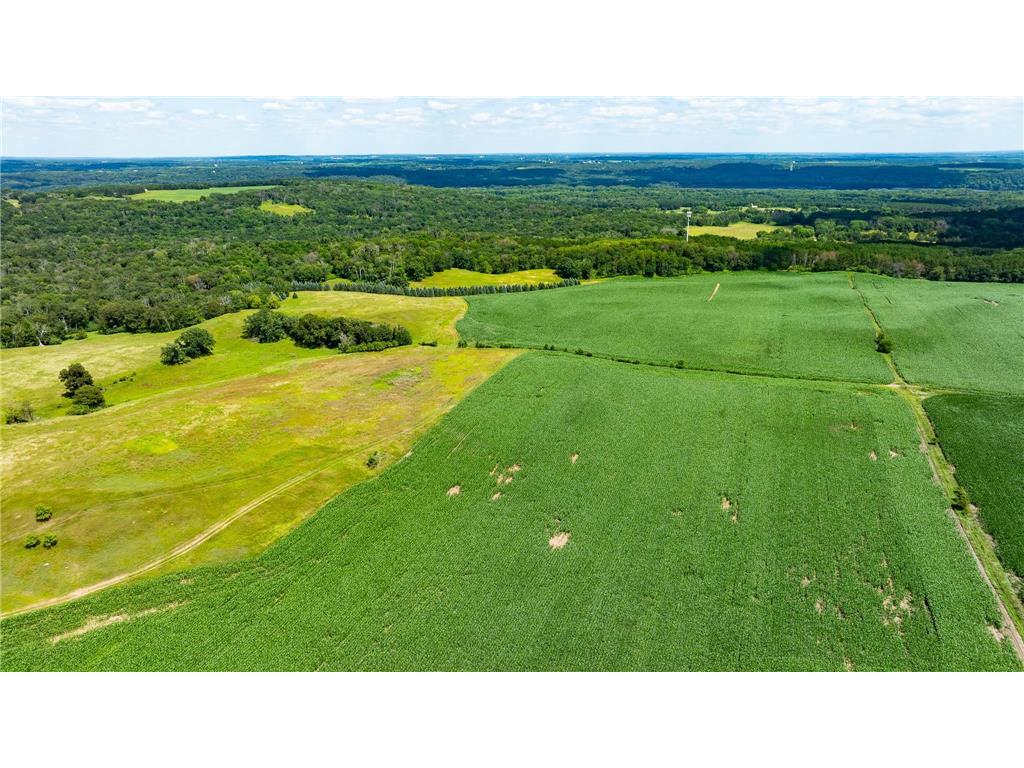 15055 Paul Avenue N May Twp MN 55047 6746351 image139