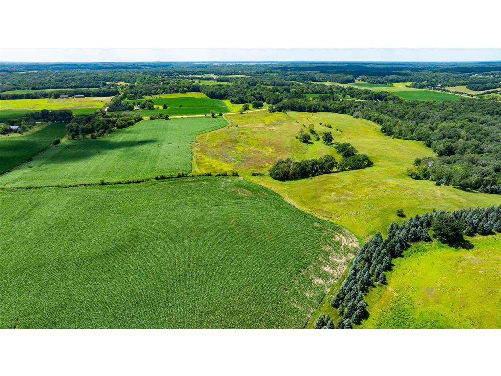 15055 Paul Avenue N May Twp MN 55047 6746351 image14