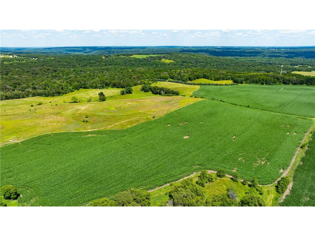 15055 Paul Avenue N May Twp MN 55047 6746351 image140