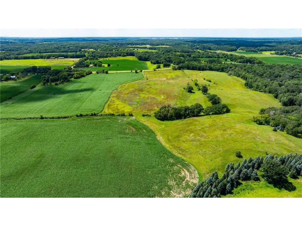 15055 Paul Avenue N May Twp MN 55047 6746351 image15