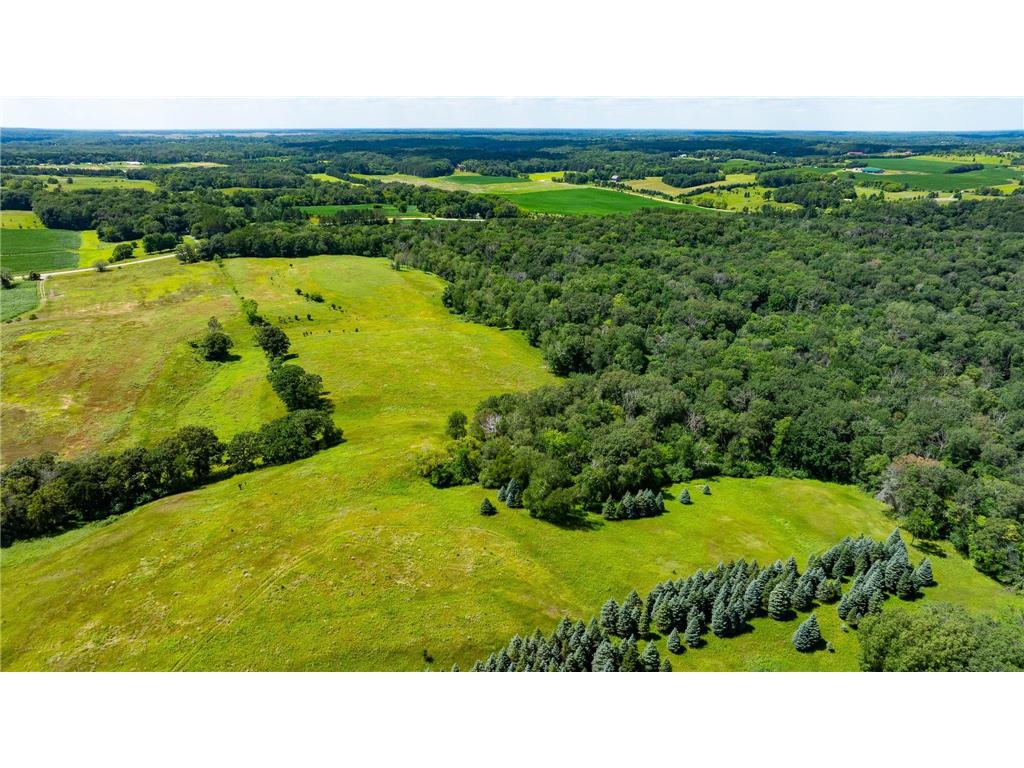 15055 Paul Avenue N May Twp MN 55047 6746351 image16