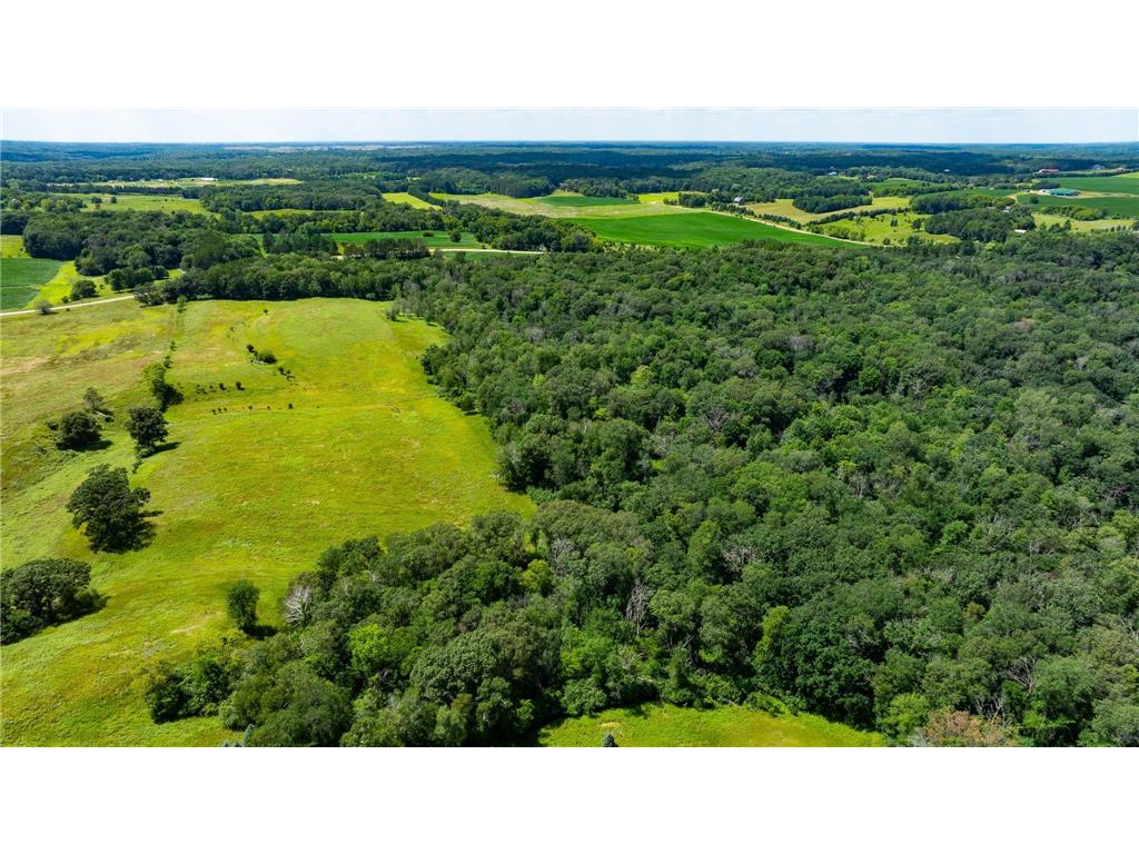 15055 Paul Avenue N May Twp MN 55047 6746351 image17