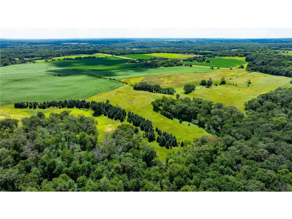 15055 Paul Avenue N May Twp MN 55047 6746351 image18