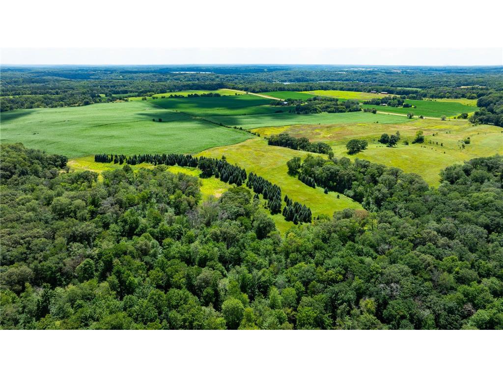 15055 Paul Avenue N May Twp MN 55047 6746351 image19