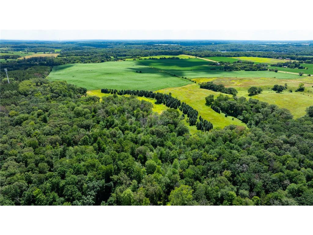 15055 Paul Avenue N May Twp MN 55047 6746351 image20