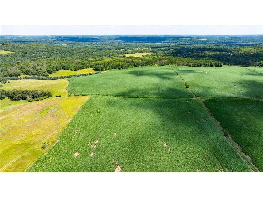 15055 Paul Avenue N May Twp MN 55047 6746351 image21