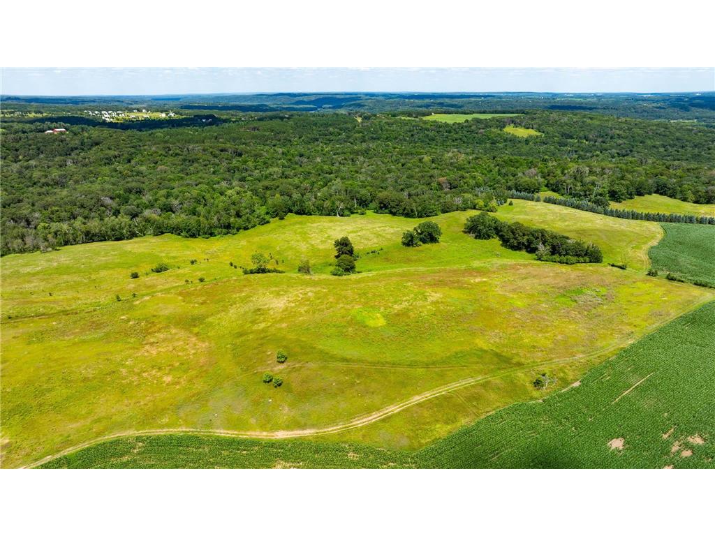 15055 Paul Avenue N May Twp MN 55047 6746351 image22