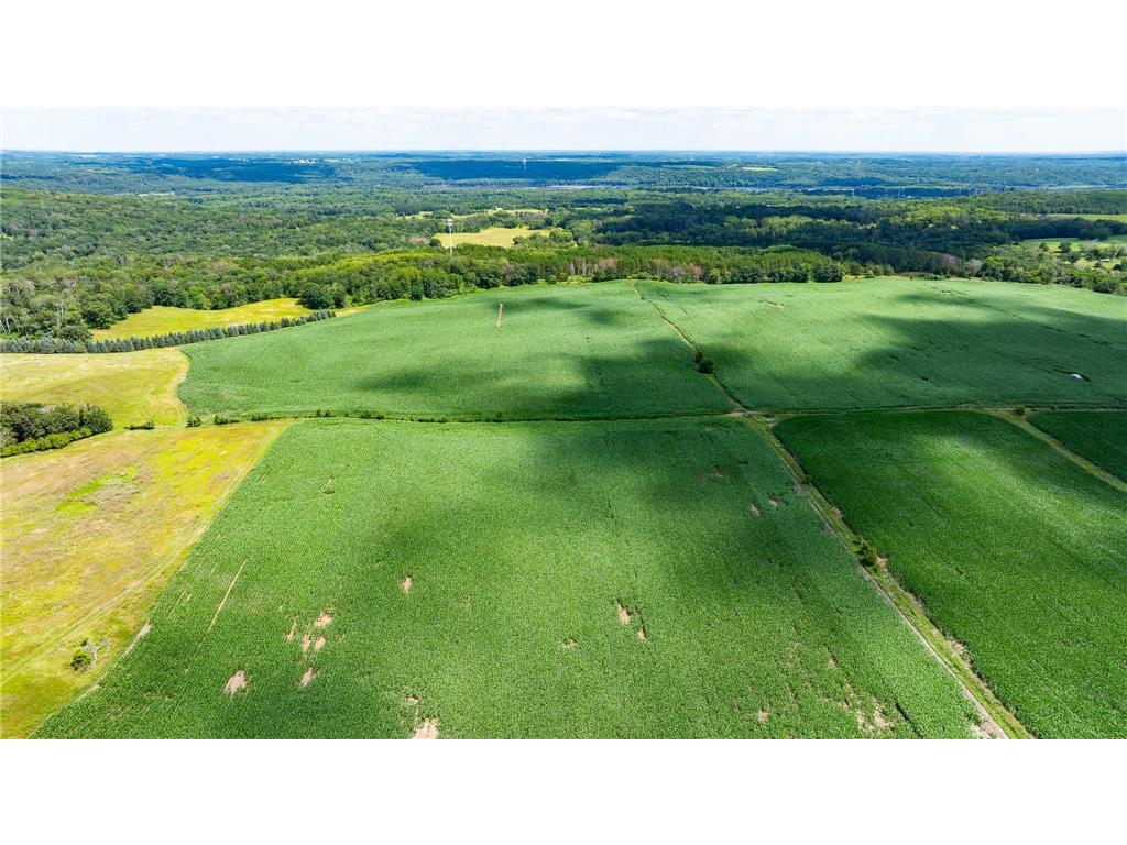 15055 Paul Avenue N May Twp MN 55047 6746351 image24