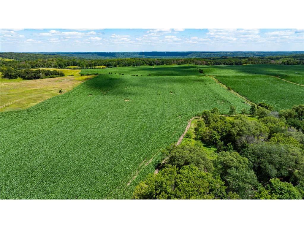 15055 Paul Avenue N May Twp MN 55047 6746351 image27