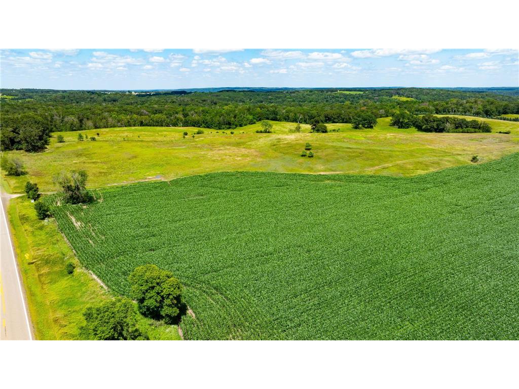 15055 Paul Avenue N May Twp MN 55047 6746351 image28