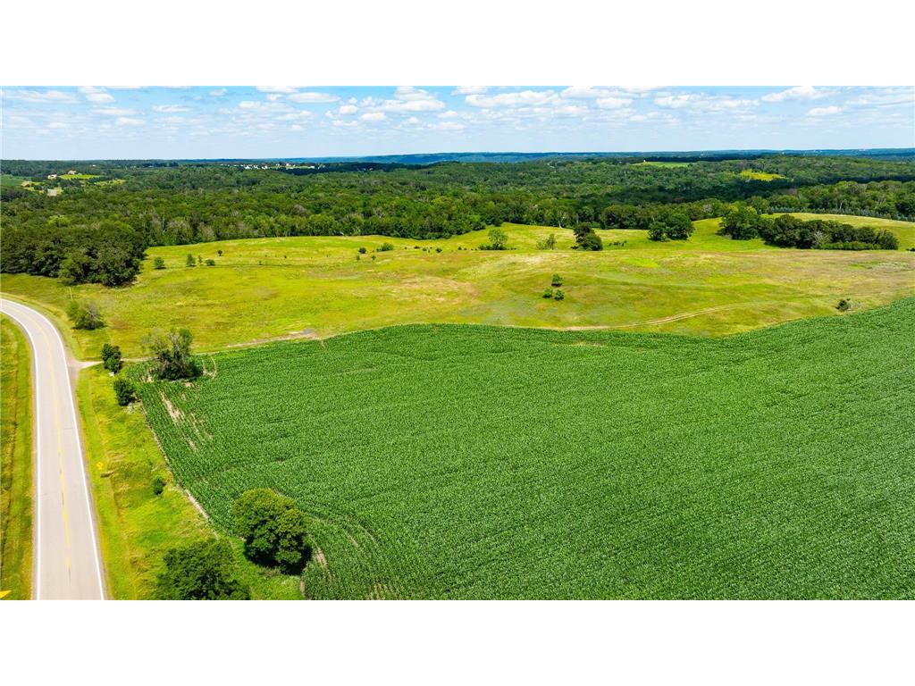 15055 Paul Avenue N May Twp MN 55047 6746351 image29