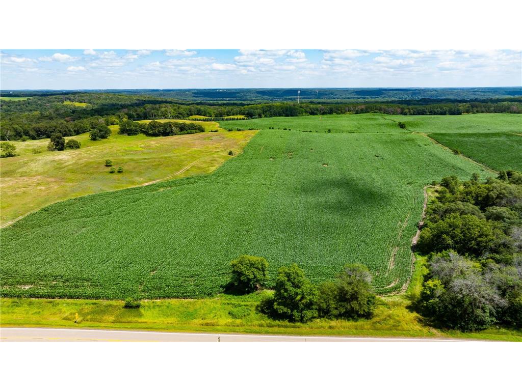 15055 Paul Avenue N May Twp MN 55047 6746351 image30